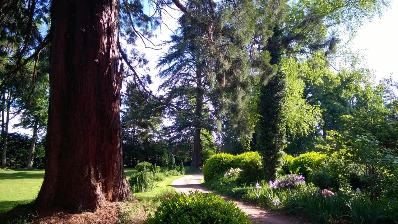 Château de la Vernède Saint-Rémy-de-Chargnat Esterno foto
