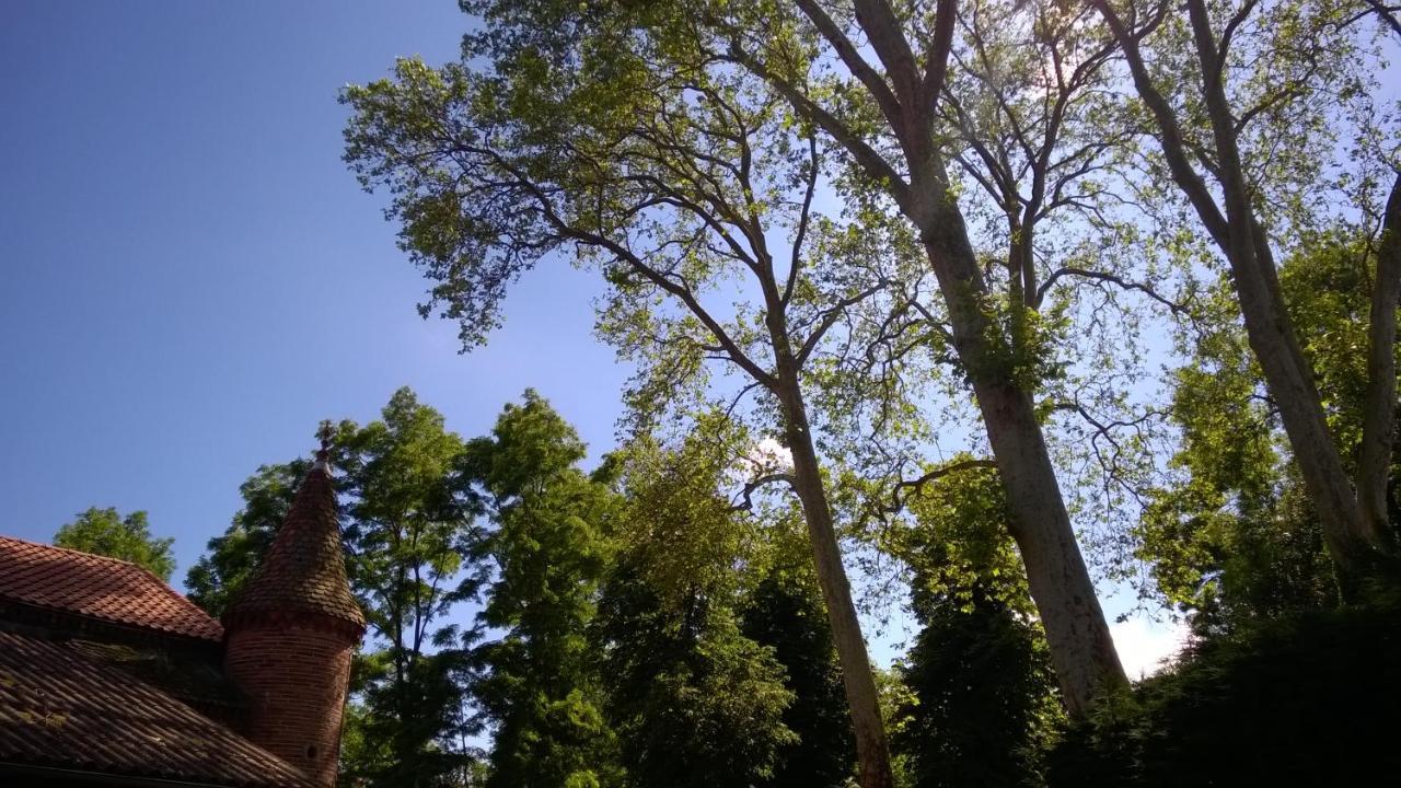 Château de la Vernède Saint-Rémy-de-Chargnat Esterno foto