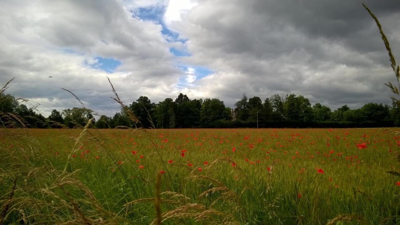 Château de la Vernède Saint-Rémy-de-Chargnat Esterno foto