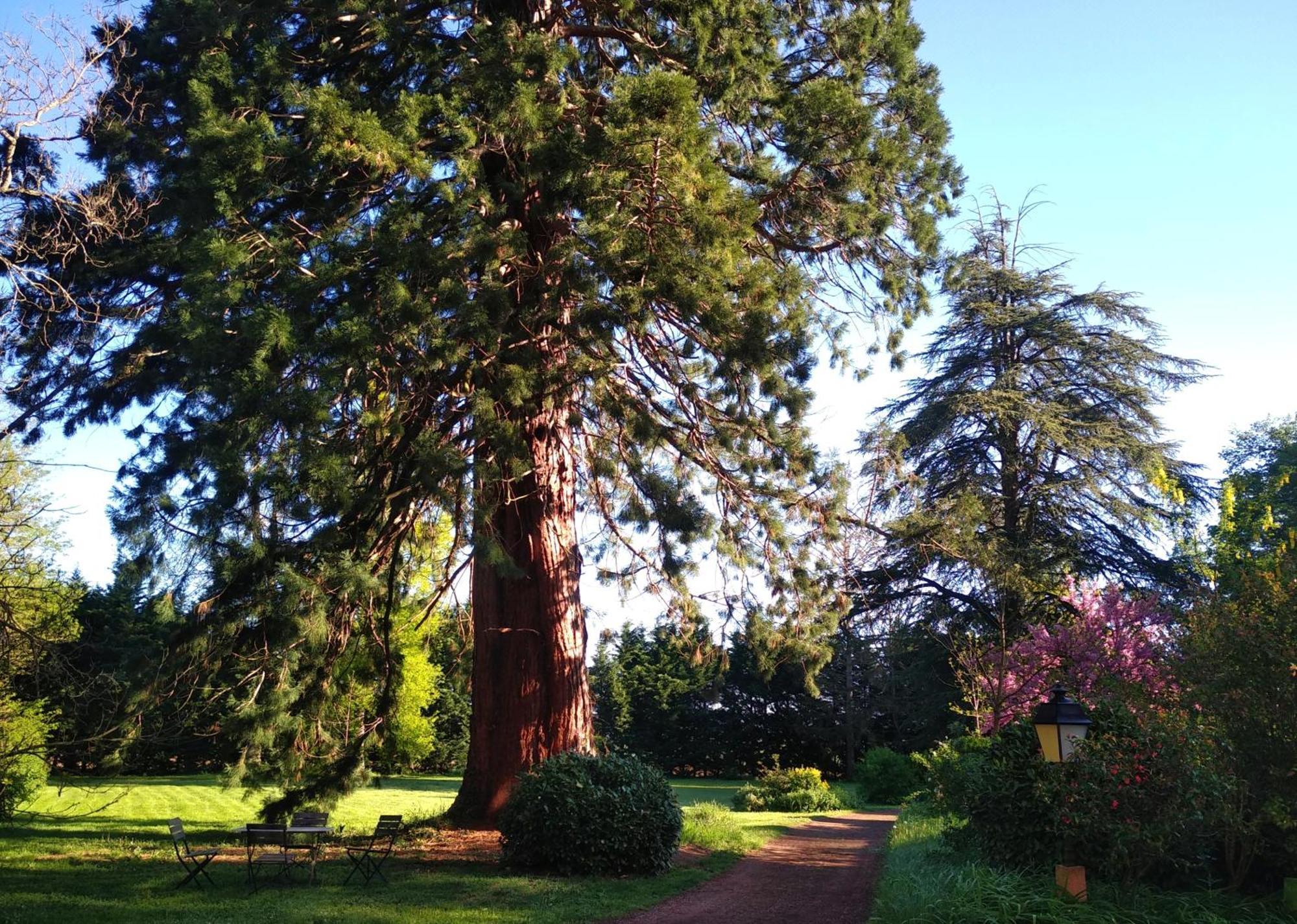 Château de la Vernède Saint-Rémy-de-Chargnat Esterno foto